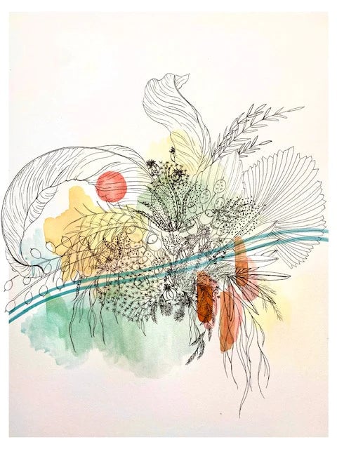dried botanical flower drawing