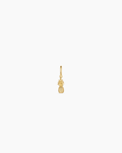 Pineapple Parker Charm