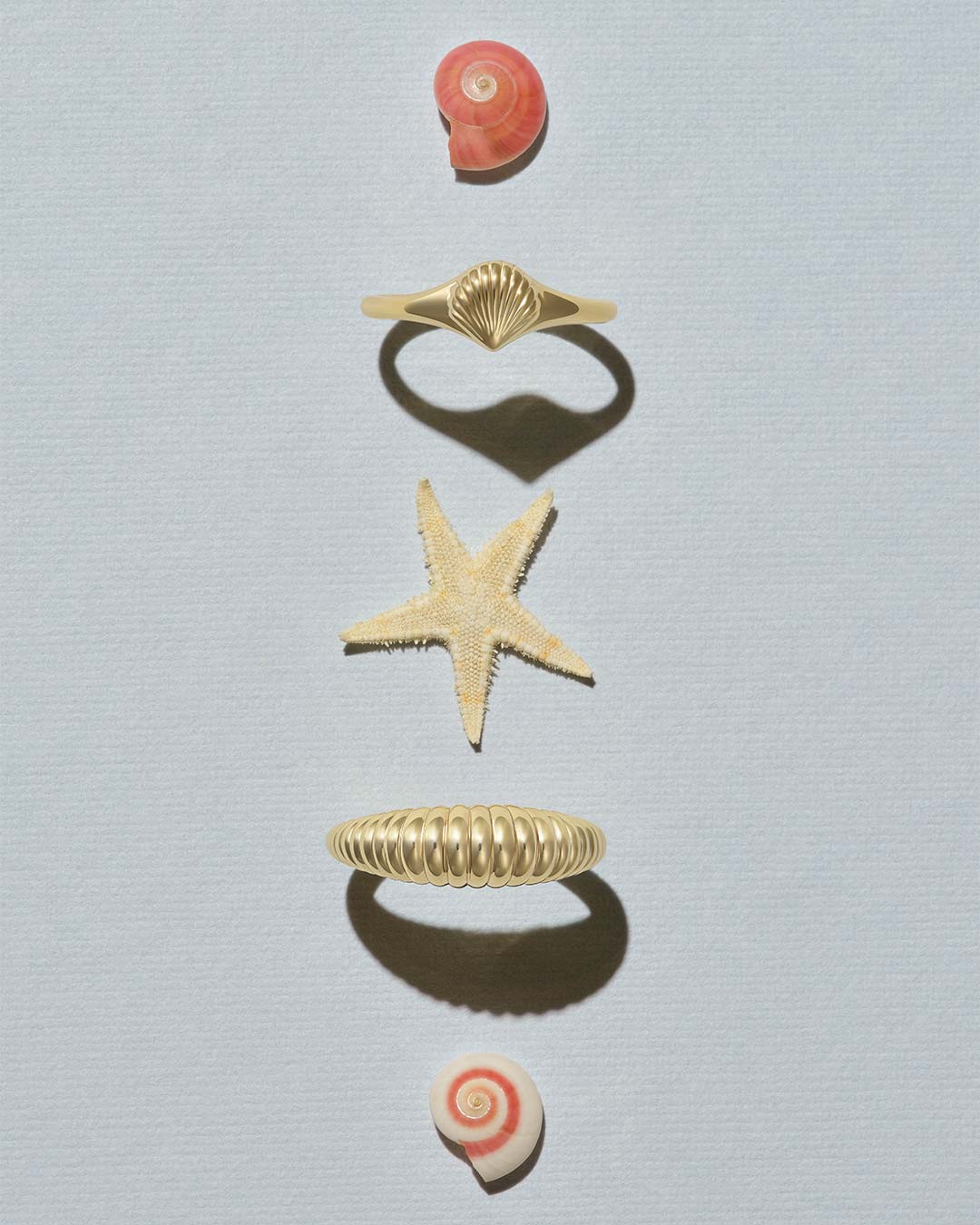 gold plated rings and shells 