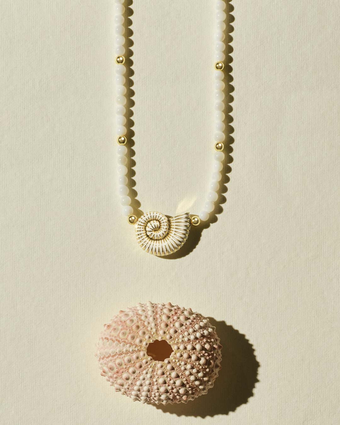 Necklace with shell pendant on a beige background. Shop Necklaces