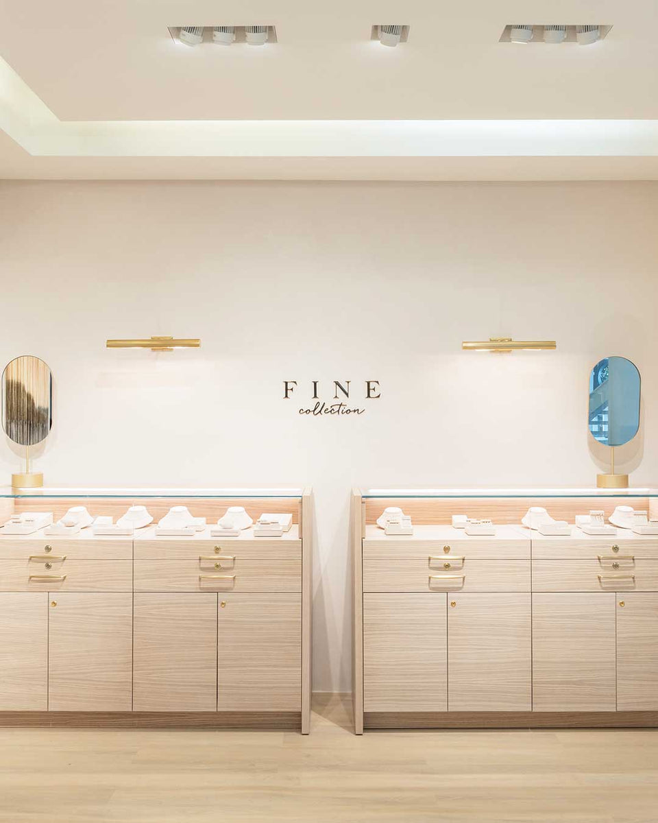 Roosevelt Field, NY interior store