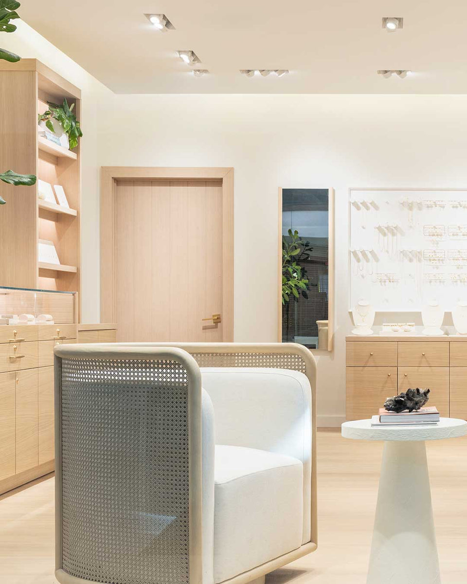 Roosevelt Field, NY interior store