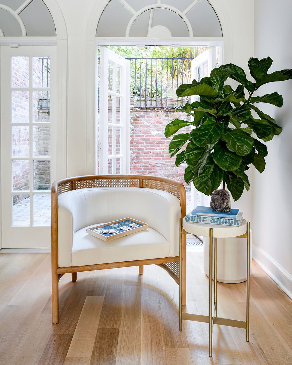 seating area with fiddle leaf fig and big windows with natural light